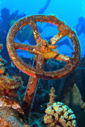 M/V Keith Tibbetts - Divers in the background are with di... by Kenny Klepacki 